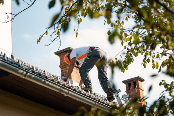 Best Roof Moss and Algae Removal  in , IL
