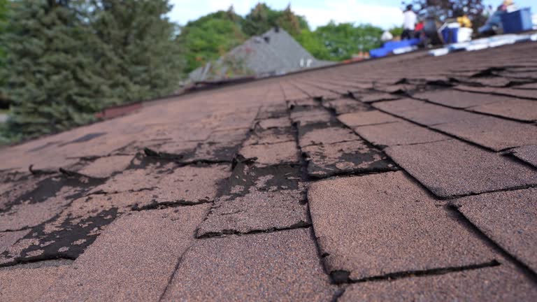  , IL Roofing Service Pros
