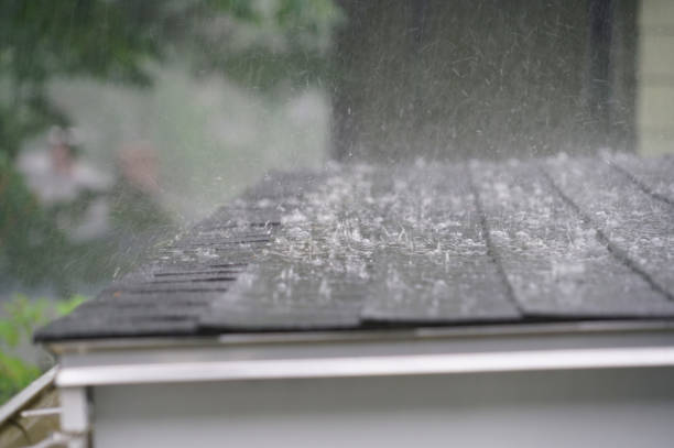 Best Roof Repair  in , IL