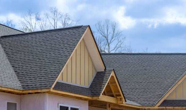 Best Skylights  in , IL