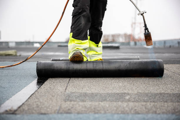 Best Solar Panel Roofing Installation  in , IL
