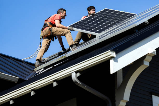 Best Roof Maintenance and Cleaning  in , IL