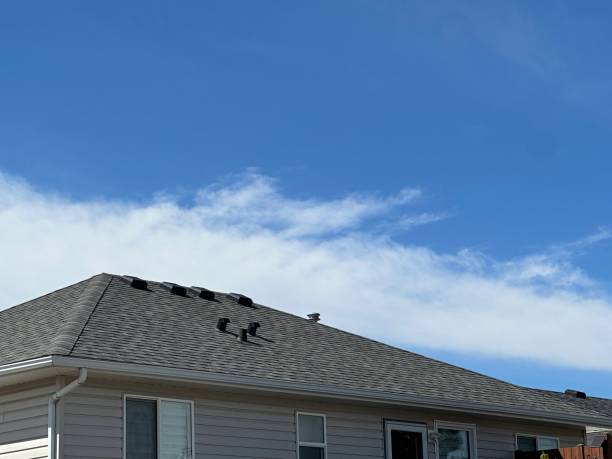 Best Flat Roofing  in , IL